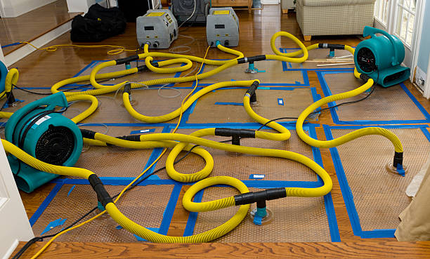 Professional Crawl Space Water Removal technician working in Ridgeway, VA